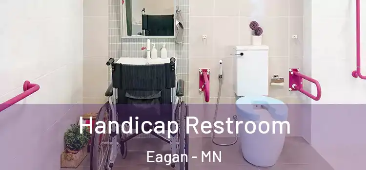Handicap Restroom Eagan - MN