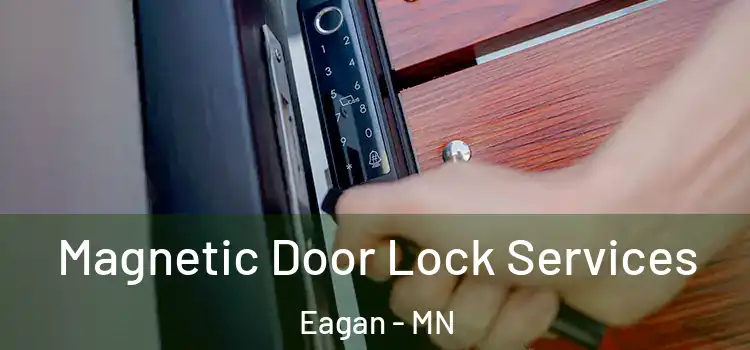 Magnetic Door Lock Services Eagan - MN
